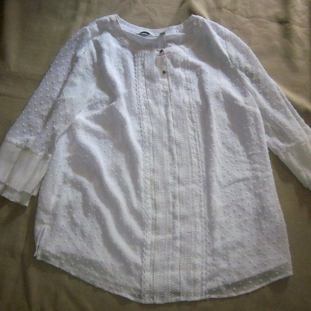 Clip dot white sheer blouse